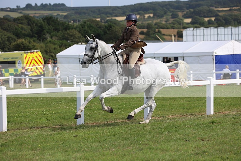 JPP_4278 - Class 25: Working Show Horse