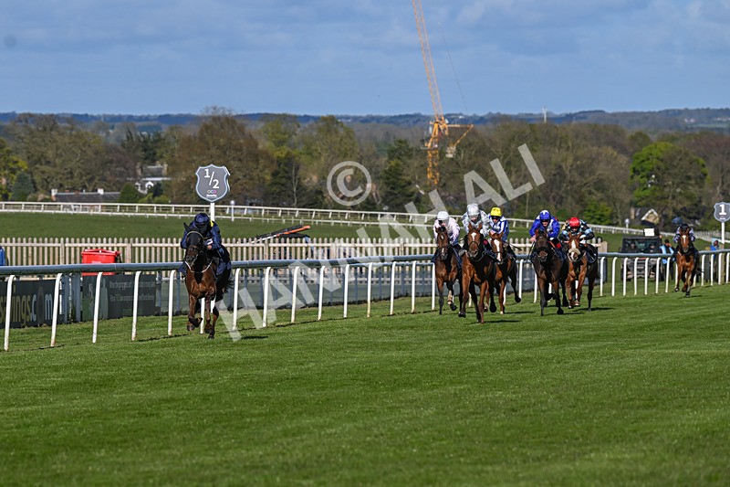 250424-Race 7-Little Rose-1993 - Race 7