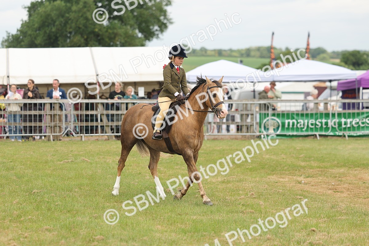 SBM_06872 - Class 74-75 - M&M Lead Rein and First Ridden Pony