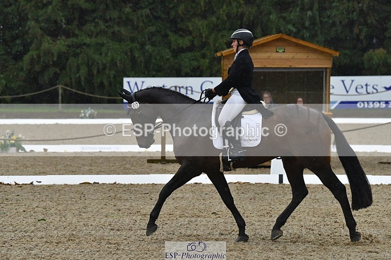 231018-154204-00851 - 012-ROMANY.CRICKET-Nana.Dalton-DR