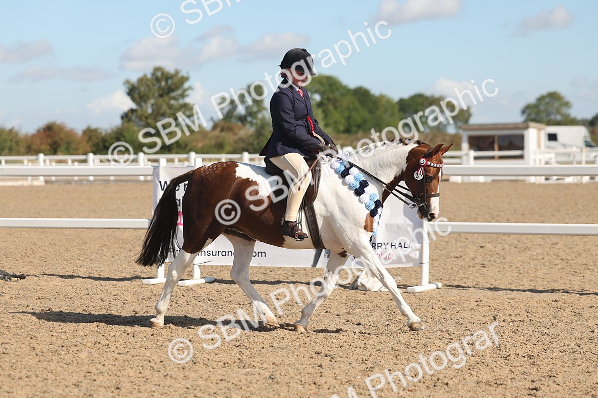 SBM_12436 - Class 304 - Ridden part Bred Horse Pony