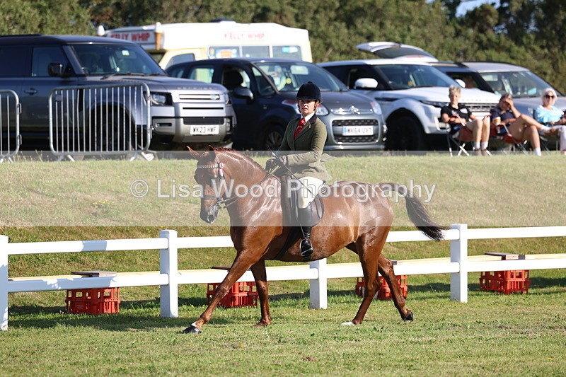 3E7A5069 - Class 1: Rising Star Small Hack/Riding Horses