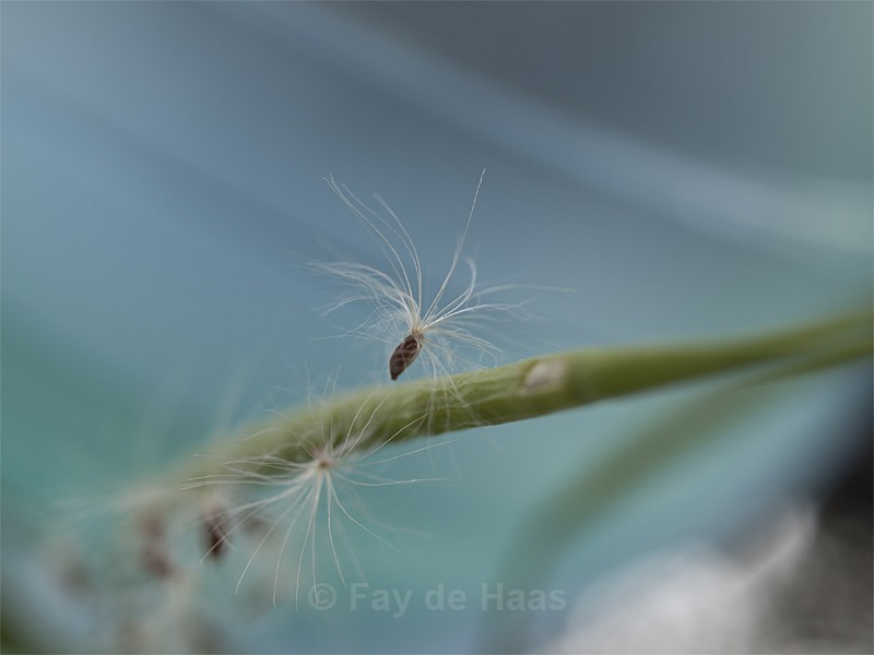 Pluis 1 - Exhibition Images
