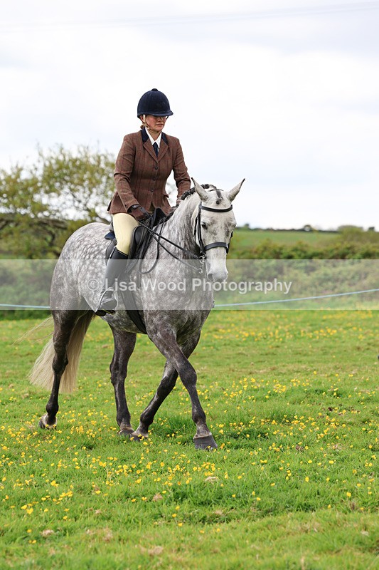 3E7A1274 - Class 7: Ridden Hunter Type