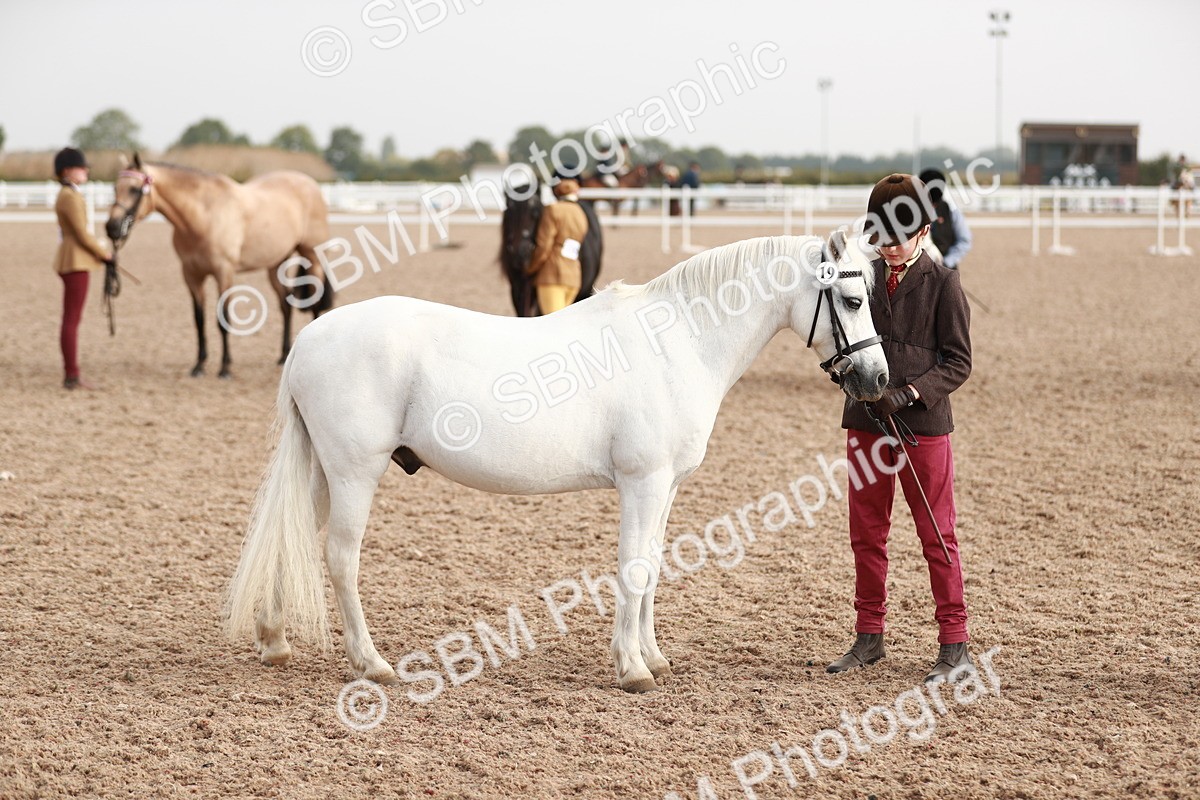 SBM_10561 - Class 204 Young Handler, 11-16 years