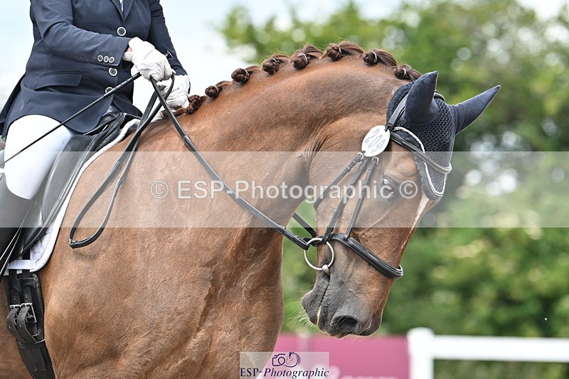 240621A-121931-02097 - Cls 7 BD Elementary 45