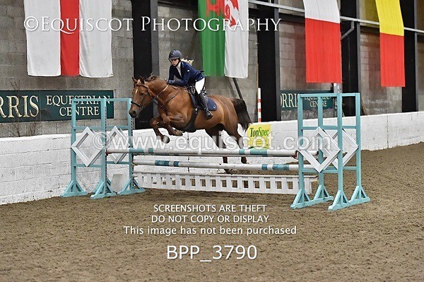 BPP_3790 - FRI CLASS 21 BR NOVICE/90CM