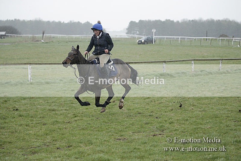 PtP 150320 0067 - New Forest Point-to-Point Larkhill 15/03/20