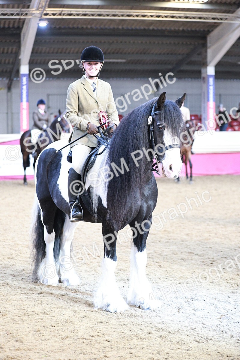 SBM_09114 - Class 12R - Regional Ridden Pre-Vet