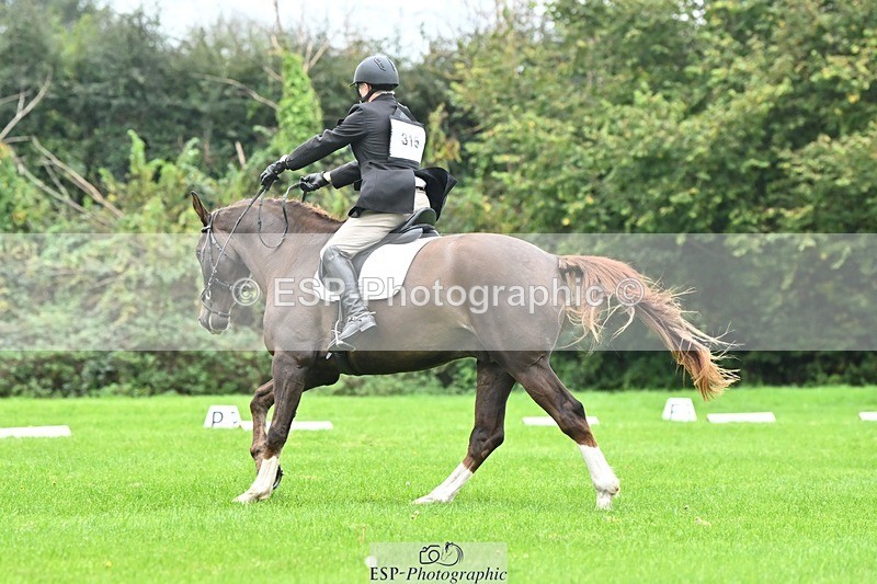 241024-111217-02392 - 315-Andrew.Winterton-STALLONE