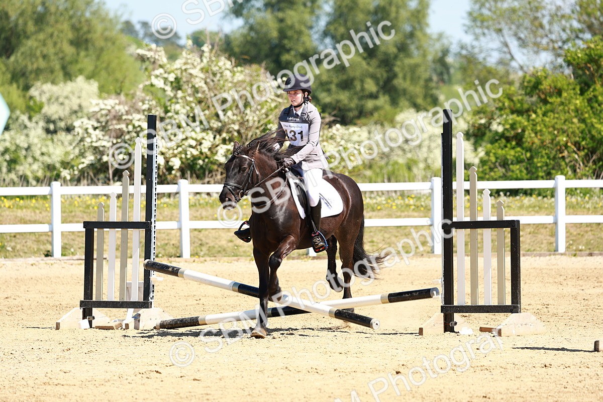 SBM_007361 - Class 3 - 60cm