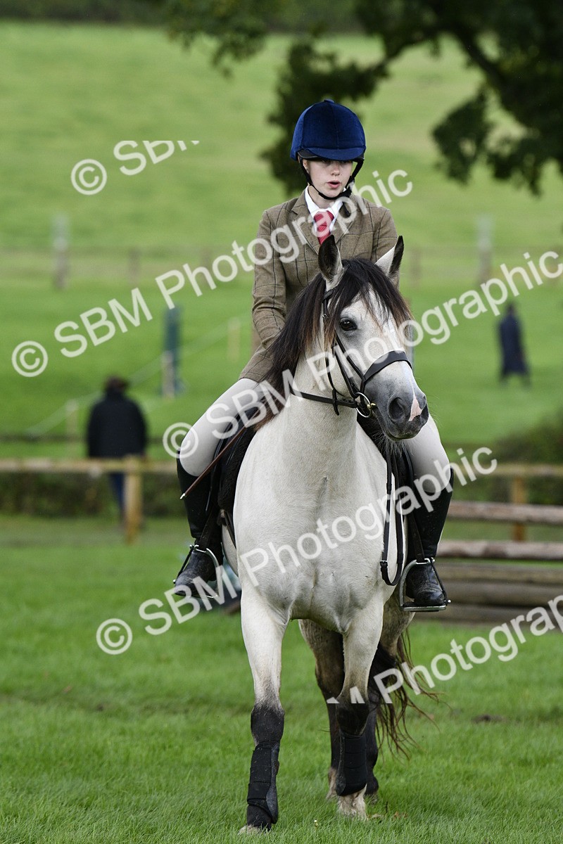 SBM_41514 - S32 - Mountain & Moorland Working Hunter Pony