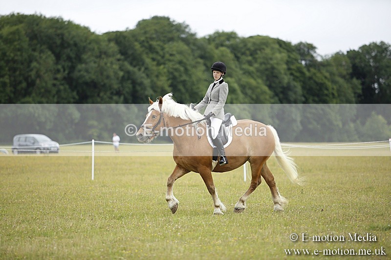 BVR160717-296 - Ring 1 BVRC Show 16/07/17