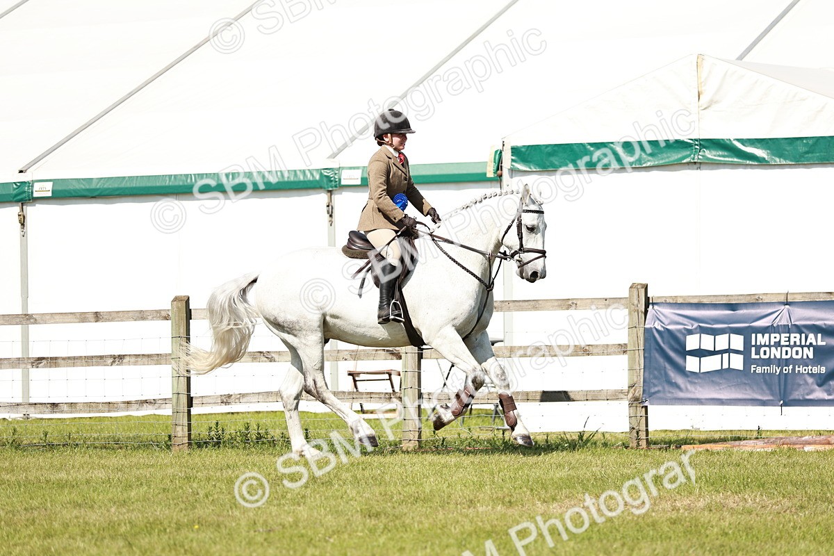 SBM_18530 - Class 112-113 - BSPS LIHS Working Sports Pony