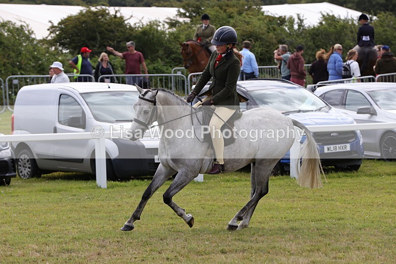1X9A4035 - Class 32: Show Hunter Pony 153cm and under