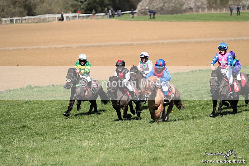 Shet 060426 259 - Shetland Pony Racing Paxford Races Easter Mon 06/04/26