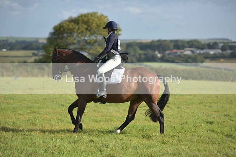 RAY_7281 - Class 2B: Trekenning Open: Dressage