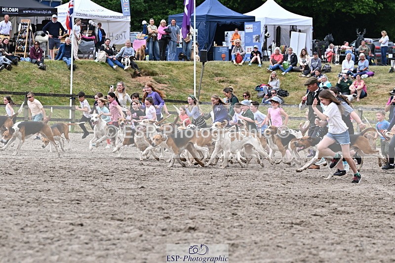 250524A-152733-12748 - East Devon Hounds