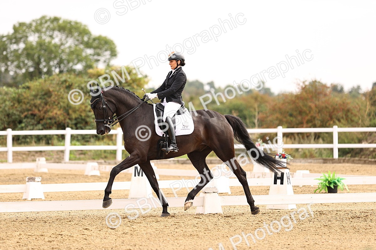 SBM_011636 - Class 1 - Medium 5