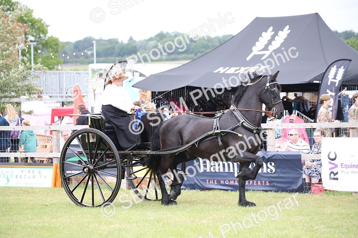 SBM_05901 - Class 12-15 - HOYS Private Driving