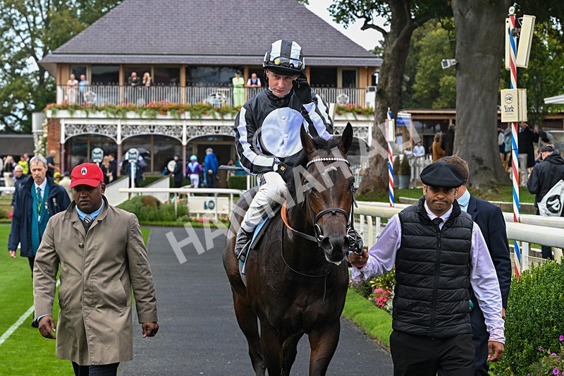 060926-Race 1-Mezzo Forte-6920 - Race 1 1.30pm Irish Thoroughbred Marketing 'Confined' EBF Maiden Stakes
