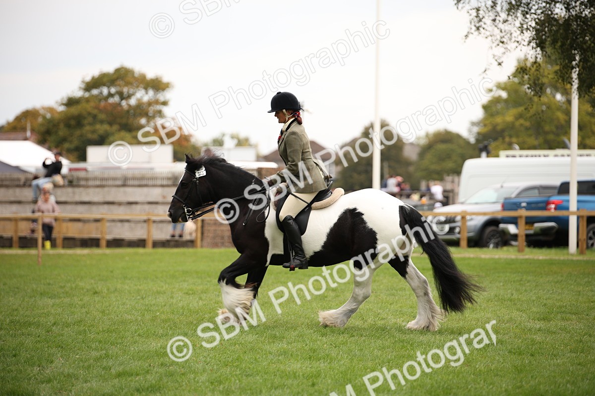 SBM_73508 - S68 - Traditional Cob Ridden