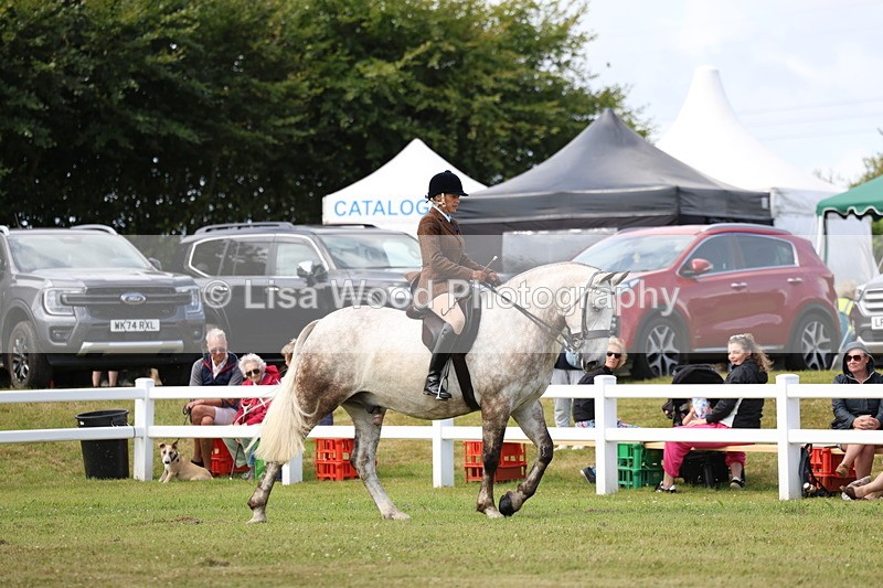 3E7A0146 - Class 6: Rising Star Maxi Cobs