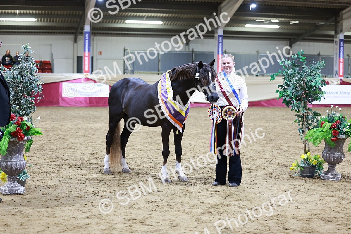 SBM_21083 - Class P - M&M Champs