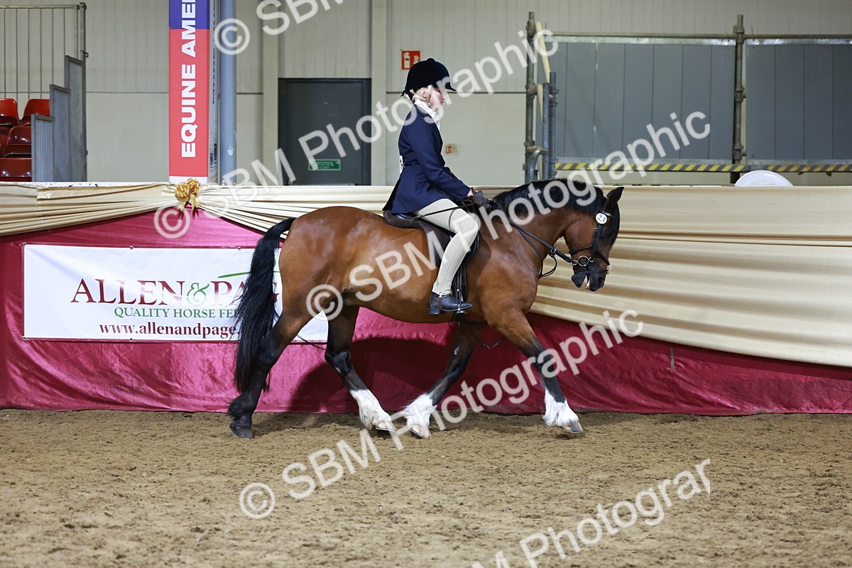 SBM_21356 - Class T - Working Veteran Champs