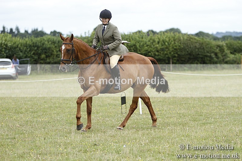 BVR160717-2227 - Ring 3 BVRC Show 16/07/17