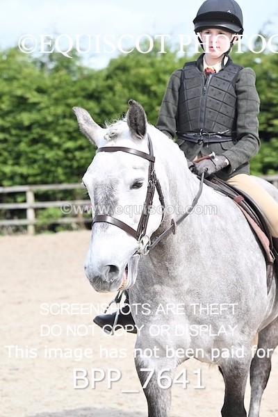 BPP_7641 - RING 1  (RIDDEN HORSES / IN HAND / VETERAN ETC)