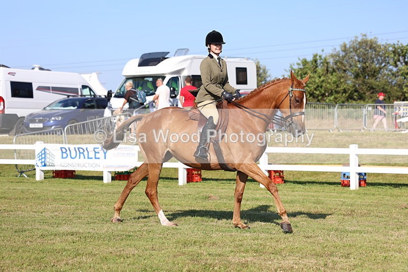 3E7A5293 - Class 2: Rising Star Large Hack/Riding Horse