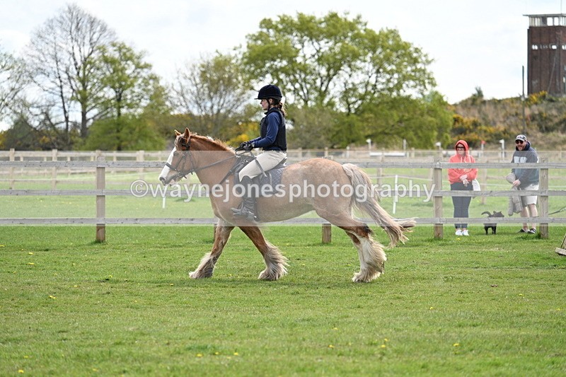 WJ7_6370 - 60cm Time 11:12 to 11:36