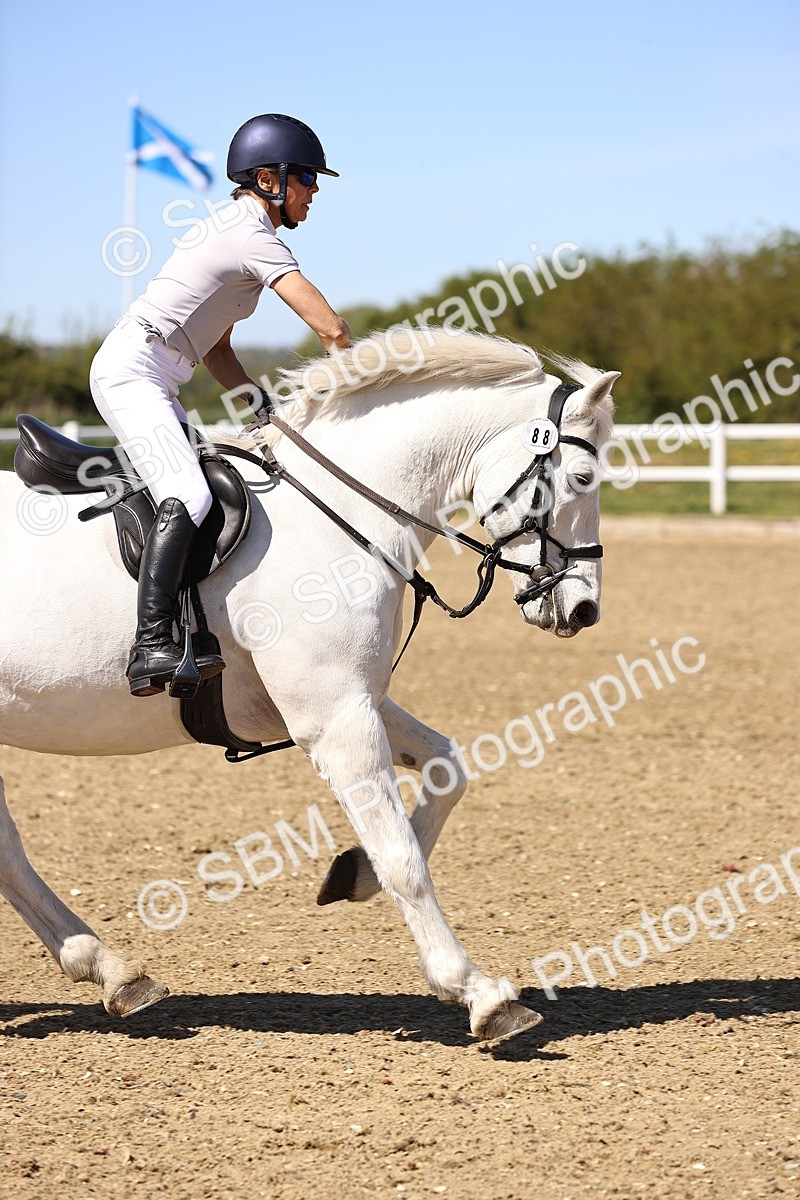 SBM_002657 - 80cm