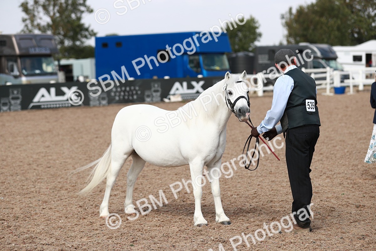 SBM_13905 - Class 209 IH Veteran Pony