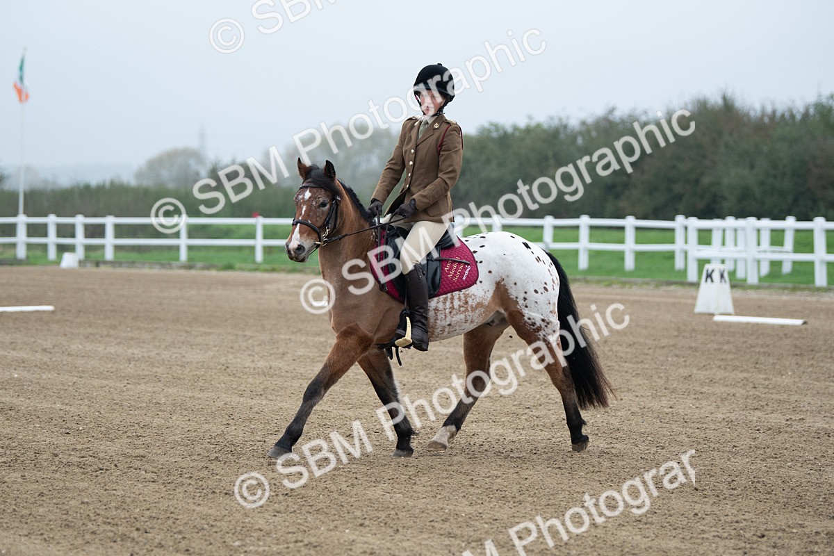 SBM_003408 - Introductory Test 3
