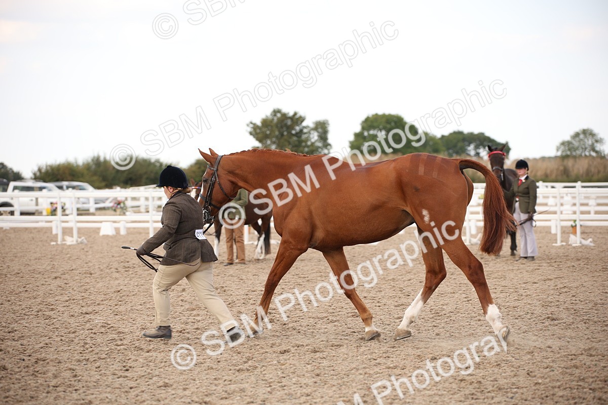 SBM_08228 - Class 27 - IH Competition Horse-Pony