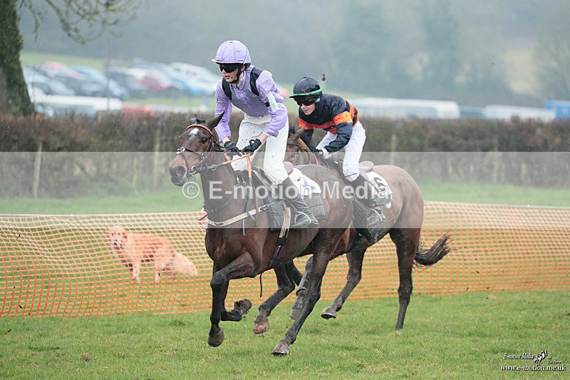 PtP 100324 308 - Pytchley with Woodland Point-to-Point Guilsborough 10/03/24