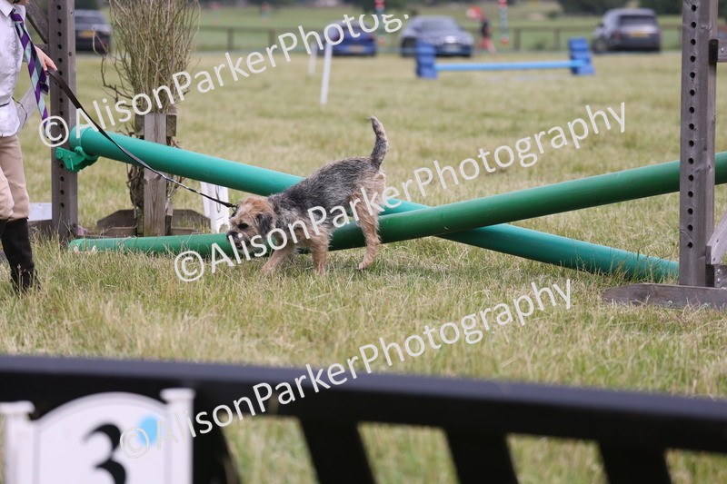 20260614-4377 - Class 25 - Horse and Hound Jumping