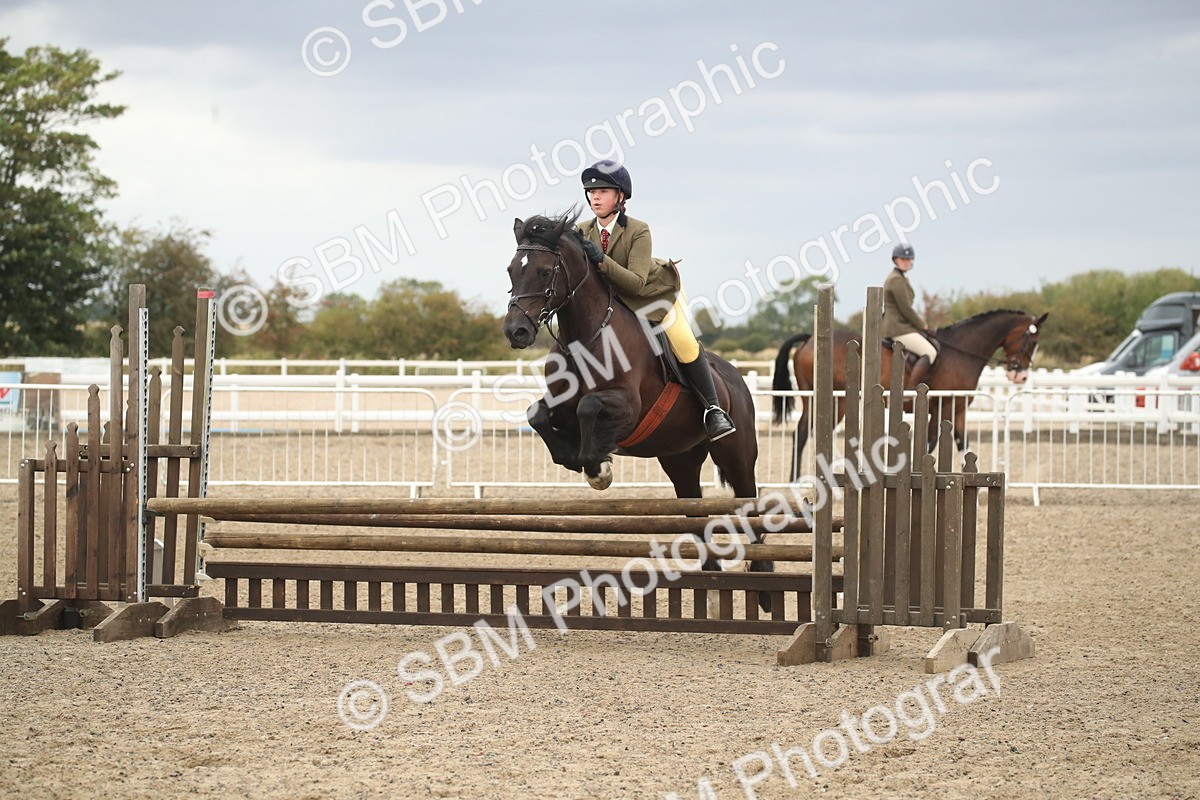 SBM_18364 - Class 509B - Working Veteran - 80cm (20+)