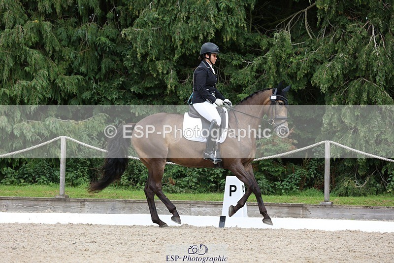 230812-143845-04462 - Cls 5 Novice Bronze 13.40 to 14.45 break