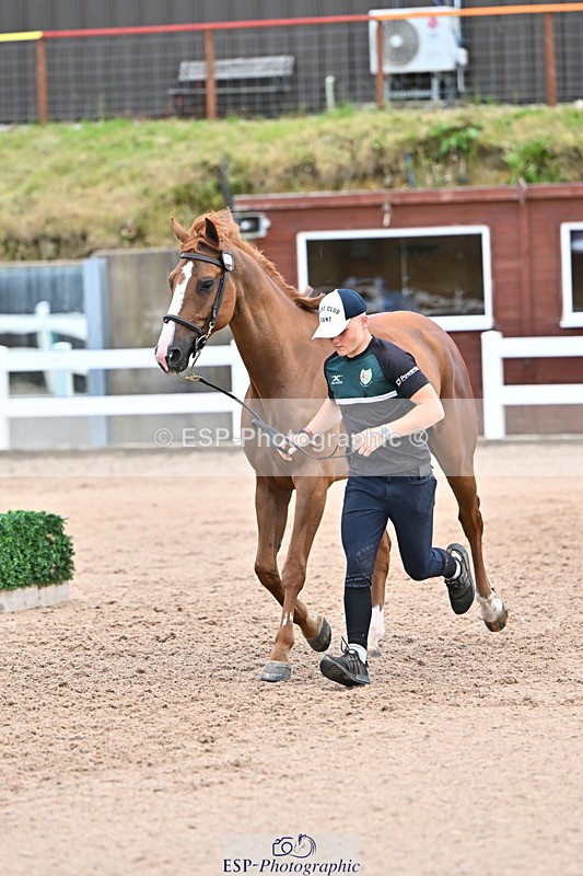 240718A-105324-01954 - Trot Up 2pm to 3pm - This folder is not in time order