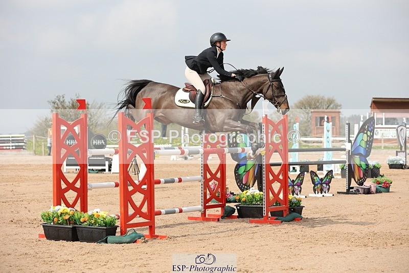 250424-105631-03307 - Cls 33 Young Horse 7yr old