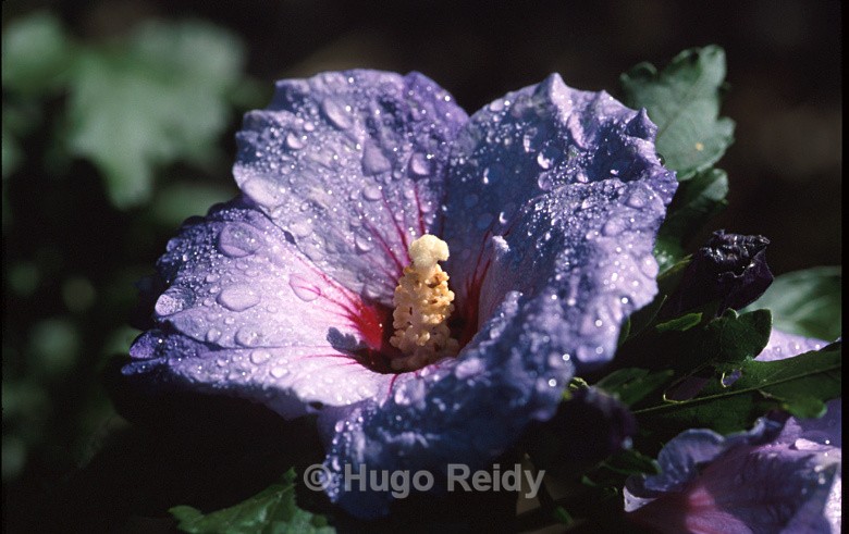  - Macro