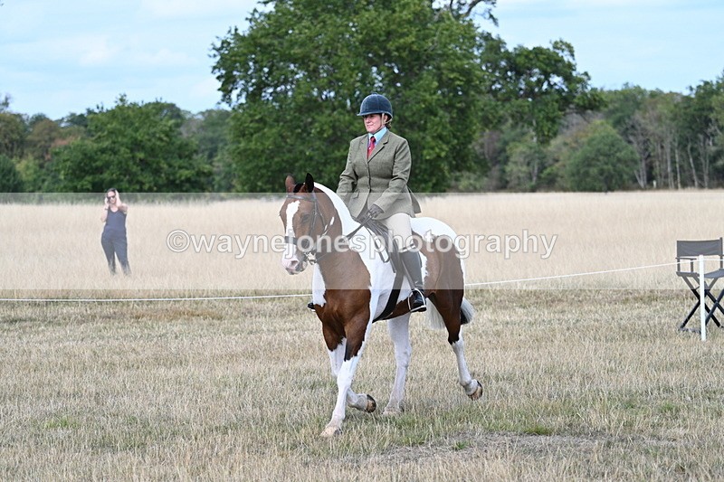 WJ7_7180 - Class 14 Ridden Coloured