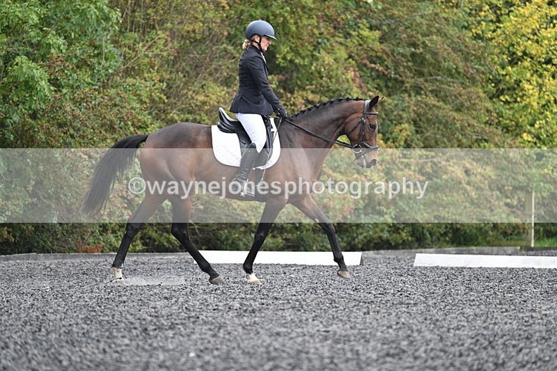 WJ7_3805 - Time 11:04 to 11:38