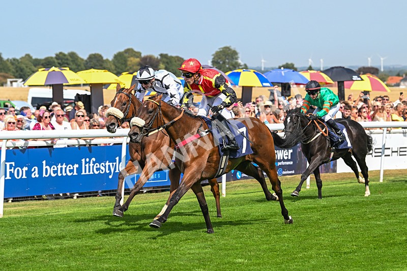 130825-Race 1-Arduis Invicta-6737 - Race 1