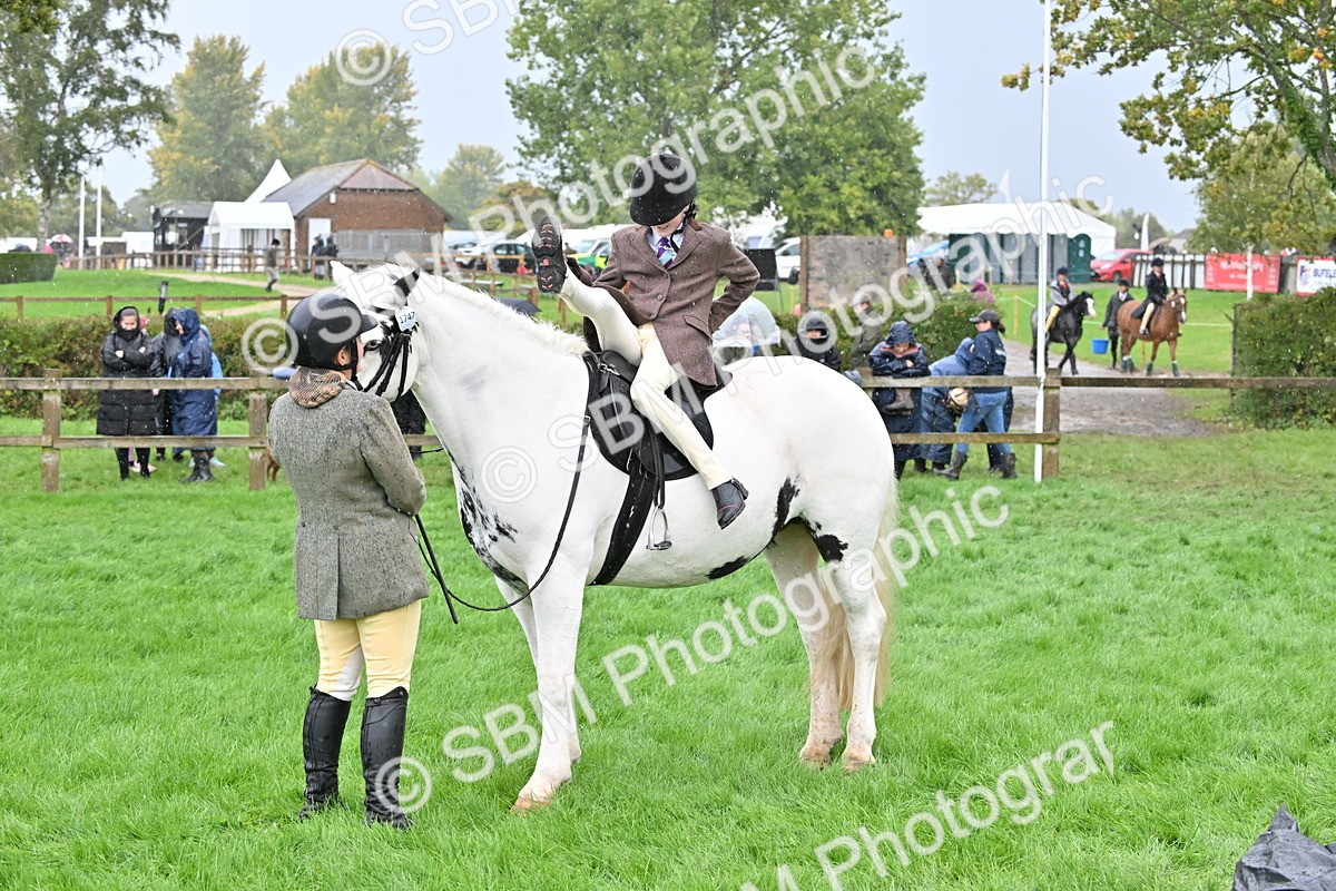 SBM_43028 - S12 - Family Horse & Pony