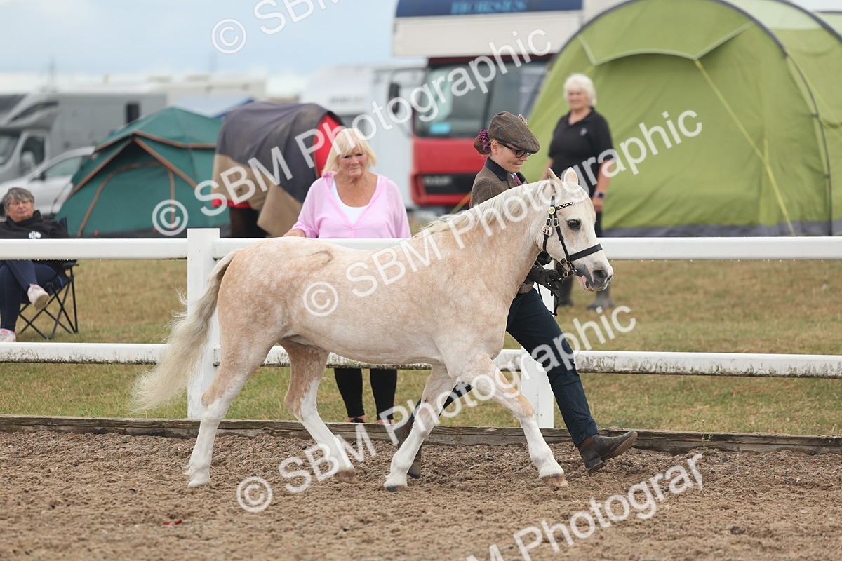SBM_08451 - Class 29 - IH Veteran Pony