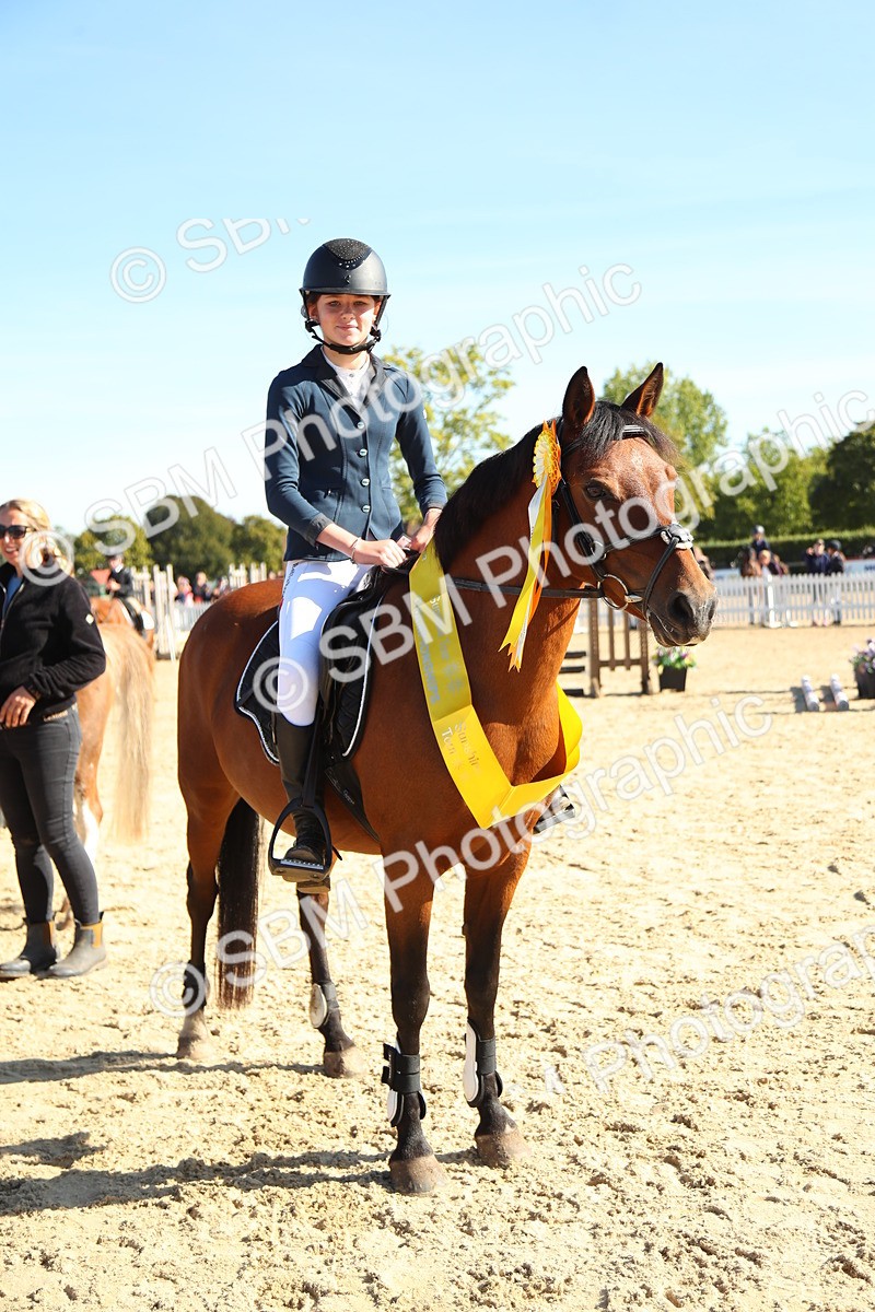 SBM_36025 - J5 - Junior Pony 50cm Championship
